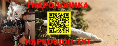 ГАЛЛЮЦИНОГЕННЫЕ ГРИБЫ Можга