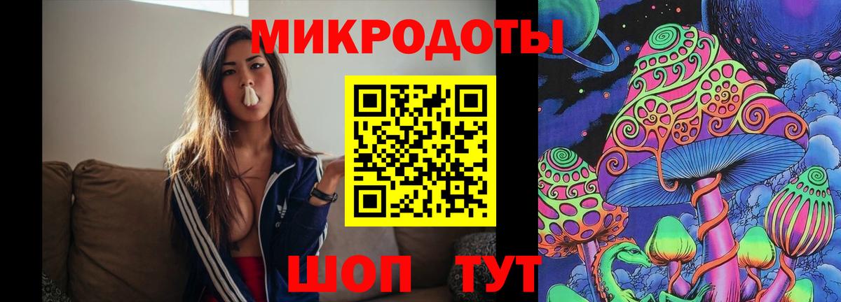 Псилоцибиновые грибы Psilocybe Усолье-Сибирское