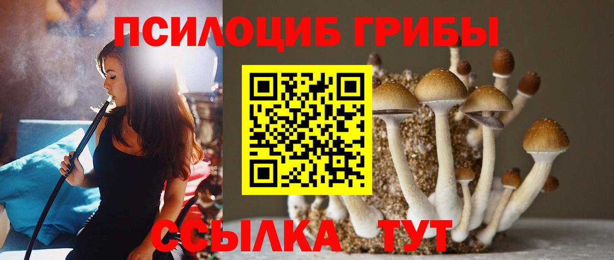 Псилоцибиновые грибы мухоморы  Вход с VPN  Галлюциногенные грибы ЛСД  Усолье-Сибирское 